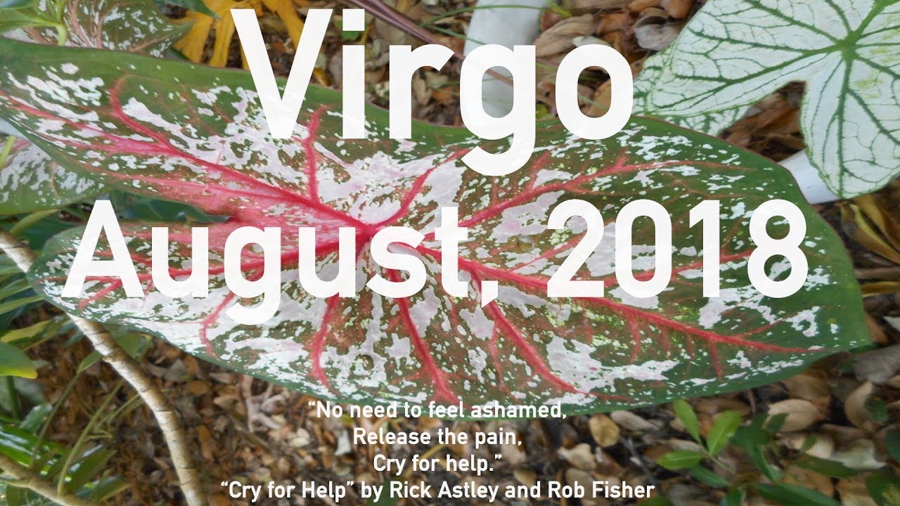 Virgo LET ME OUT! THIS IS TOXIC! AUGUST 2018 Tarot Reading