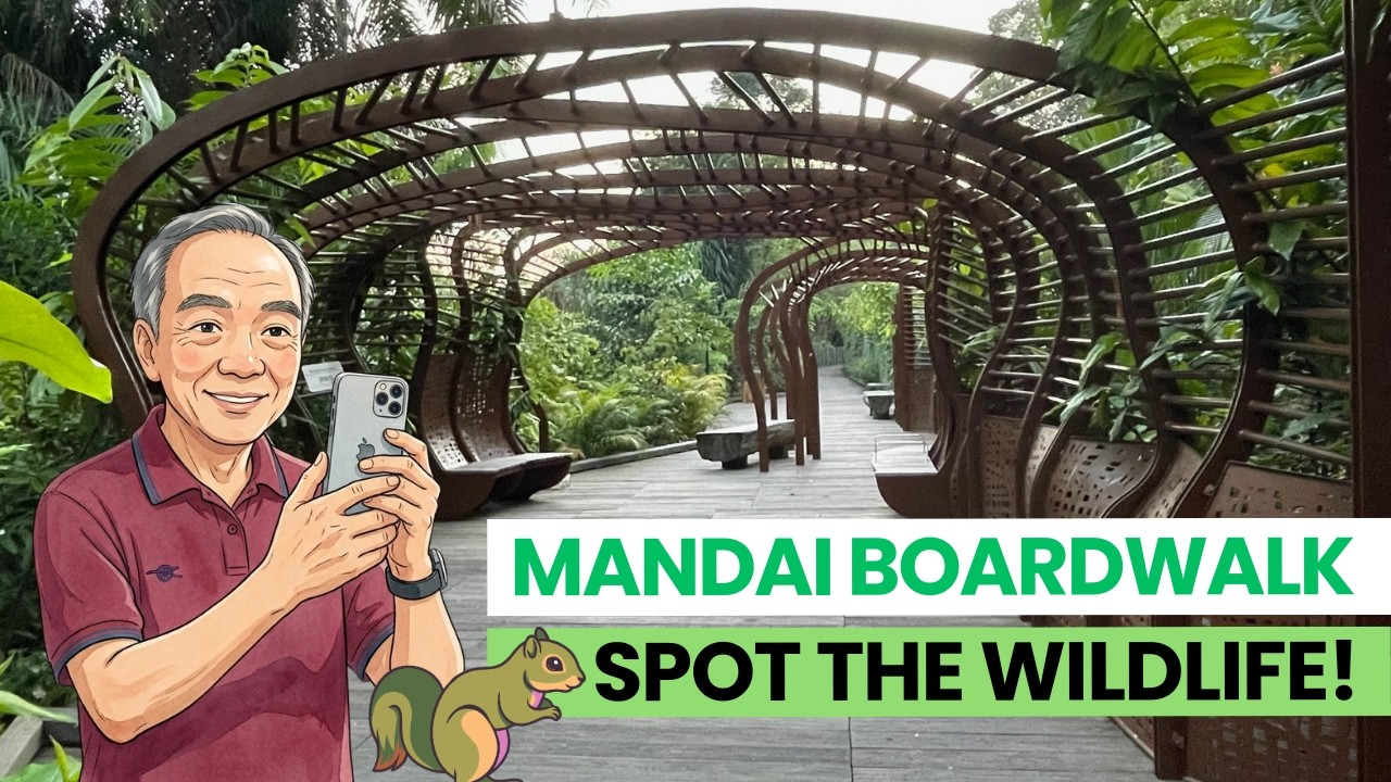 Spot the Animals! 🐿️🦎🐒 Sunrise & Wildlife at Mandai Boardwalk 🌅🇸🇬