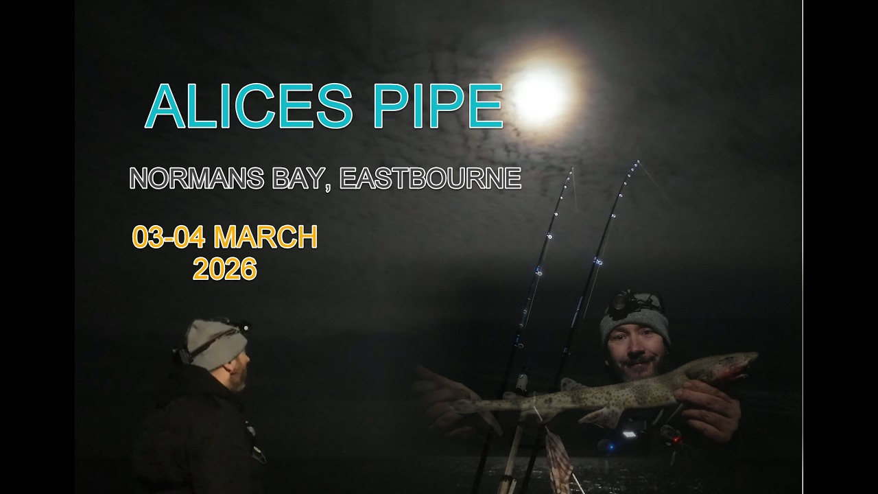 Alice’s Pipe Normans Bay Night Fishing | Spring Tide Surf Fishing UK | BeachUK