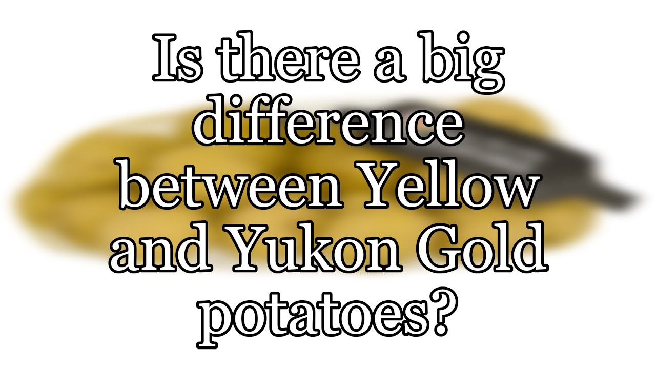 Is there a big difference between Yellow and Yukon Gold potatoes?