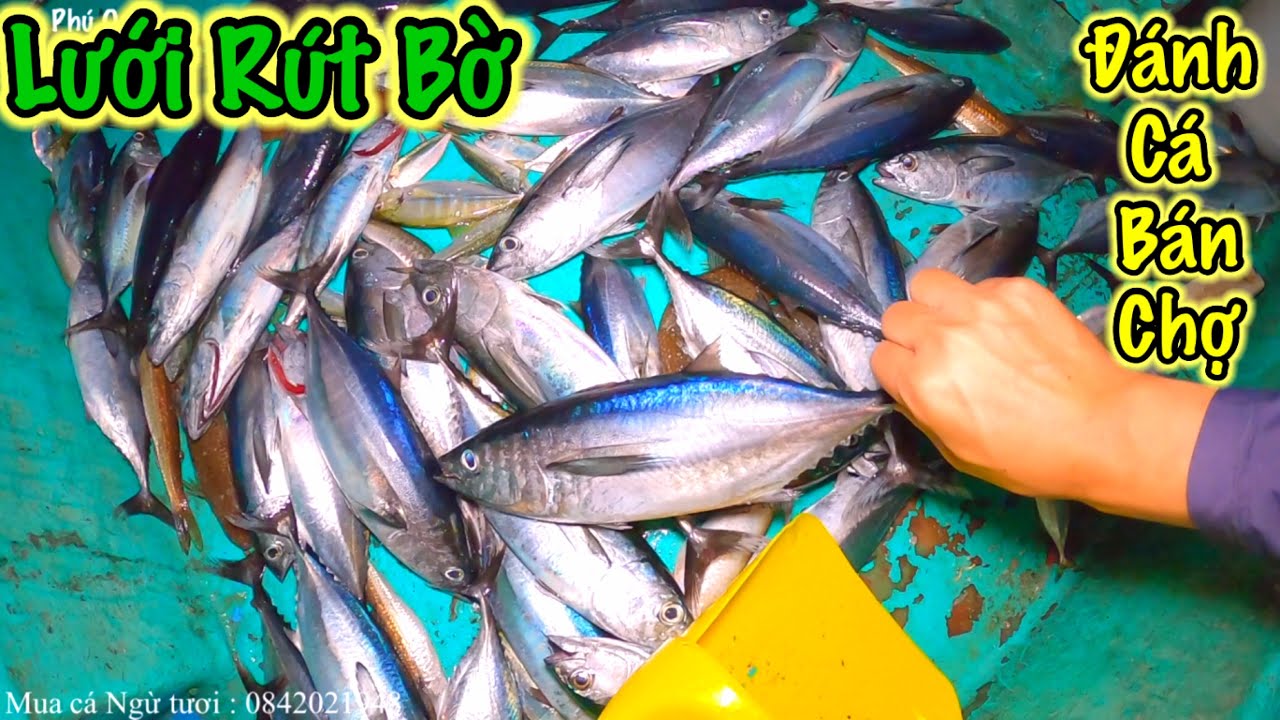 Độc Đáo Nghề Lưới Rút, Lưới Bao Bờ | Tuy Nhỏ Nhưng Có “Võ” | Sơn Phú Quốc