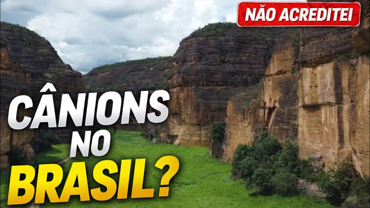 CÂNIOS DO VIANA - Isso NÃO era pra existir no Brasil… (mas existe)