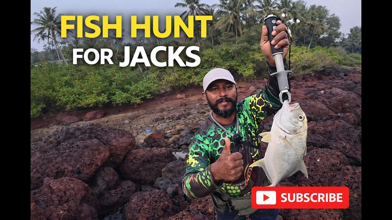 Fishing for huge jacks # rock fishing #fish hunting for trevally #fishing in Goa  #shore fishing