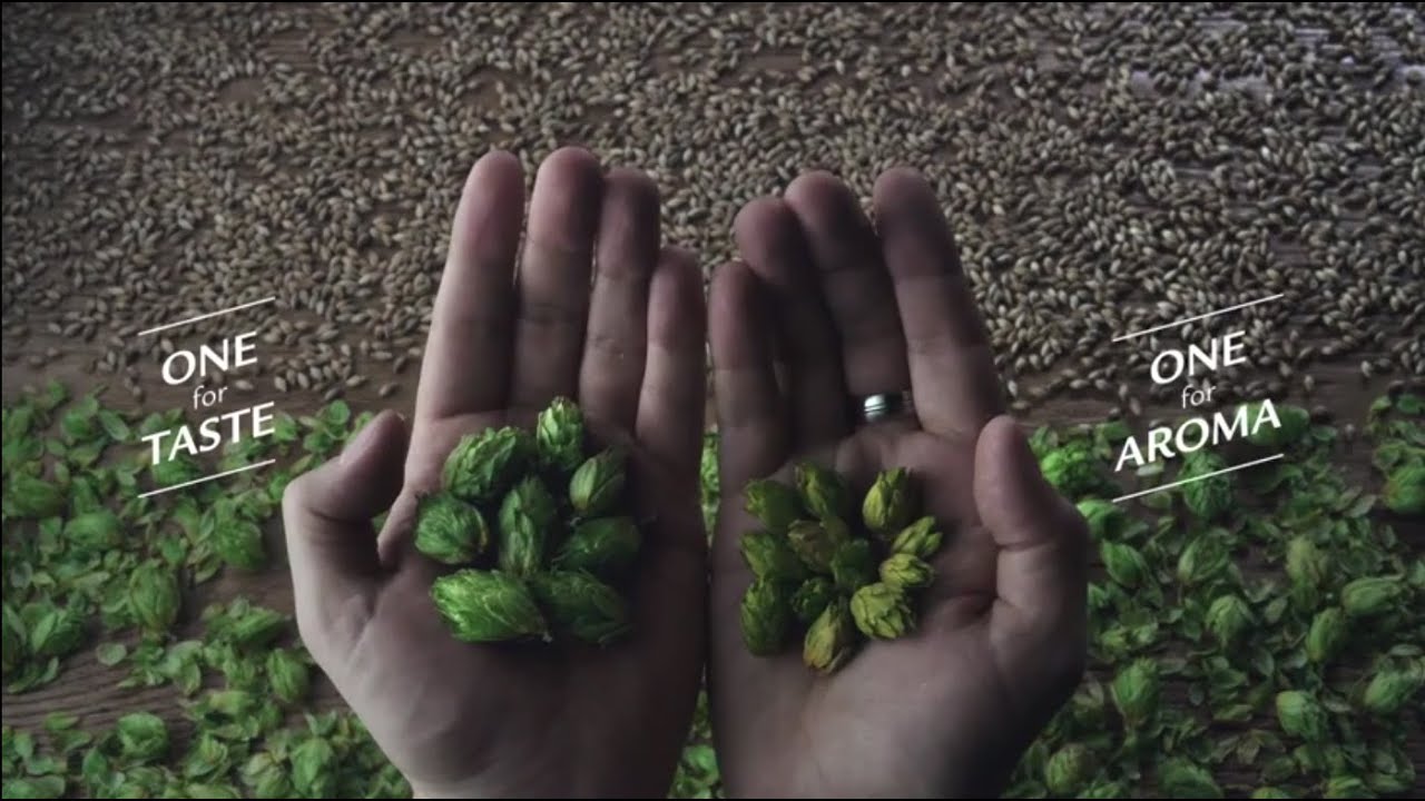The Story of Grolsch