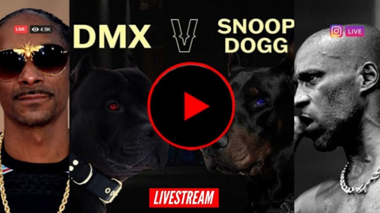 SNOOP DOGG vs DMX | LIVE VERZUZ BATTLE