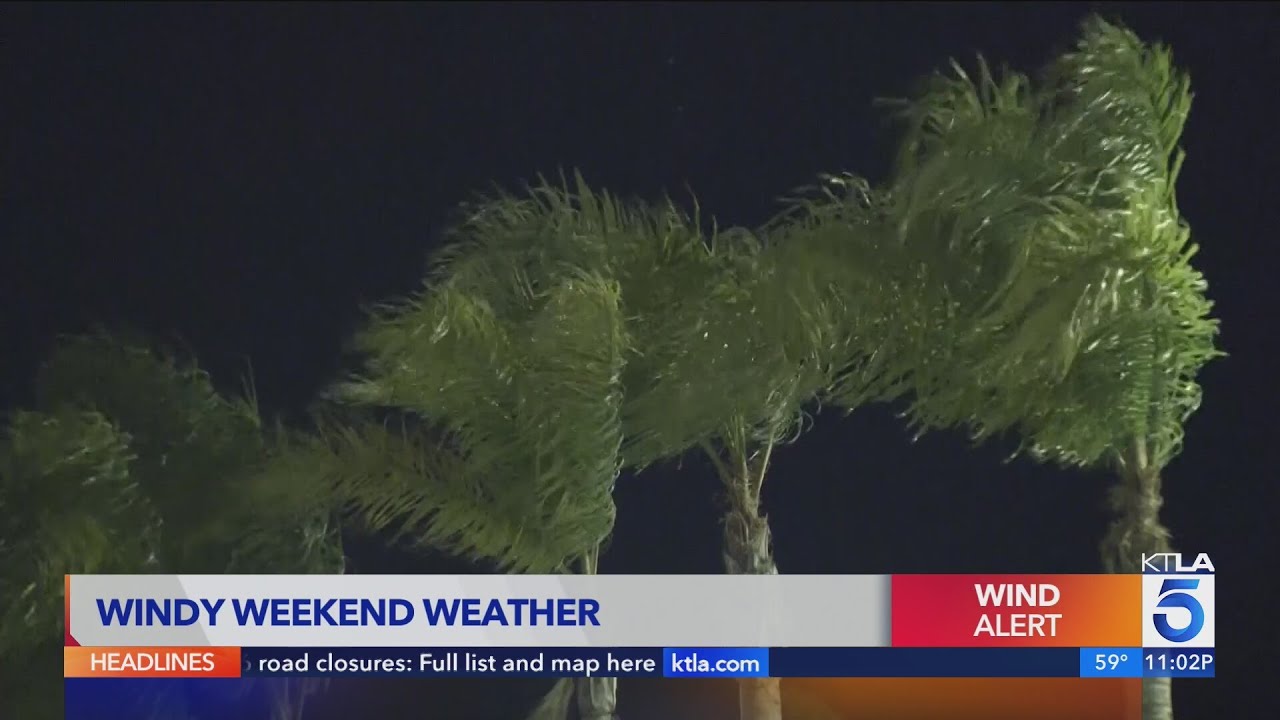 Powerful winds knock out power to hundreds in SoCal