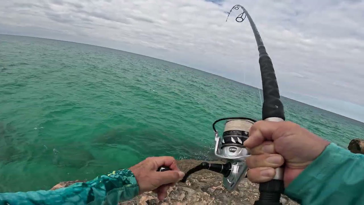 Cuba fishing 🎣  at cayo paredon 