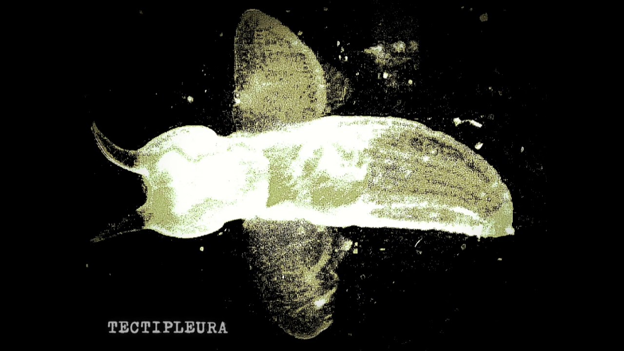 LÜMHAKHÀ -  TECTIPLEURA (FULL EP) 2024