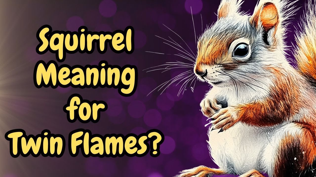 Hidden Squirrel Message for Twin Flames They Don't Want You to Miss