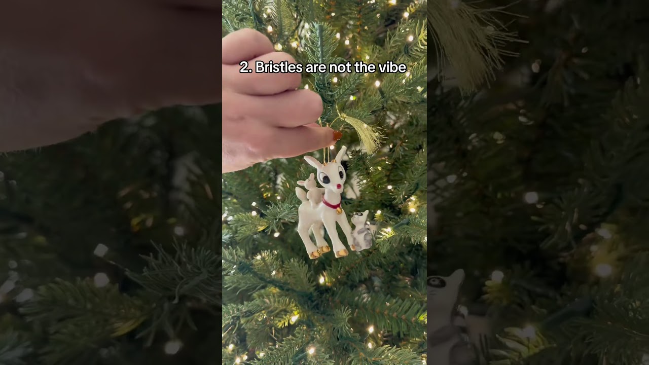 What You Should Know Before Buying the Viral Christmas Tree!