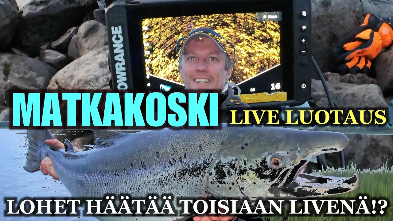 MATKAKOSKI OTTIPAIKAT LIVE LUOTAIMELLA ESIIN! - Lohia näkyi hyvin Ruotsin apajalla! ( Tornio River )