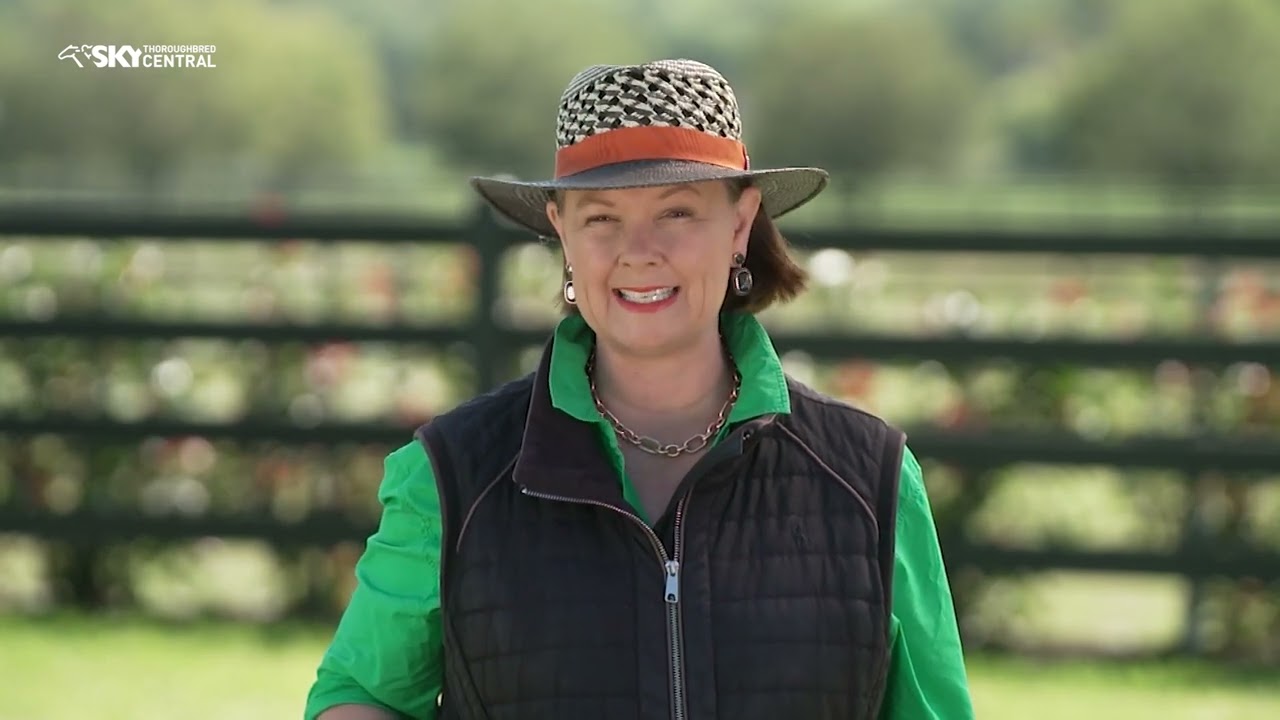 WHOLE SHOW - PART 2 - 2024 INGLIS EASTER YEARLING SALE PREVIEW