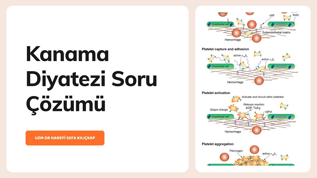 Kanama Diyatezi