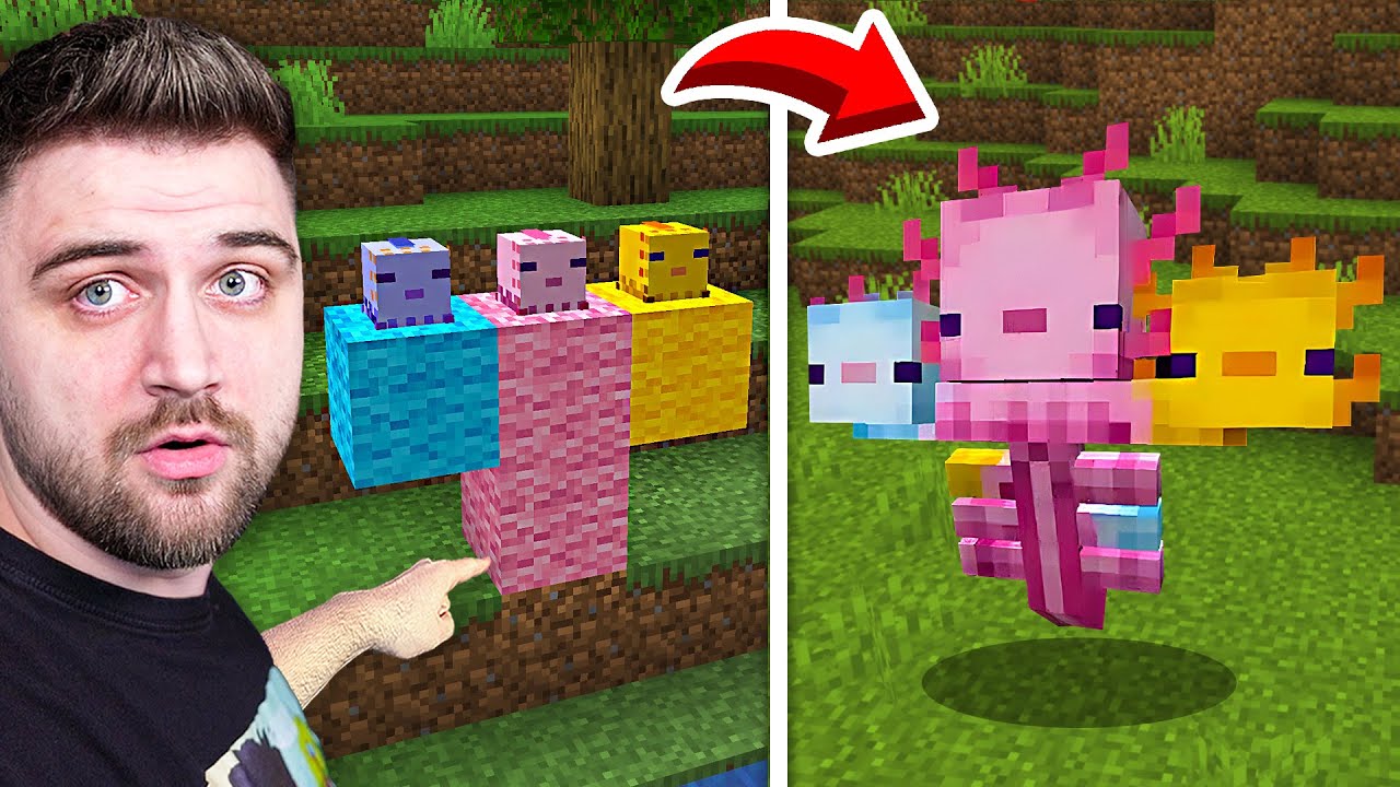 Testez TIKTOKURI FAKE cu Minecraft !