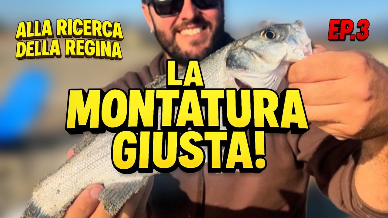 Alla Ricerca Della Regina | Pesca a Bolognese: La Lenza Perfetta Per La Sfida