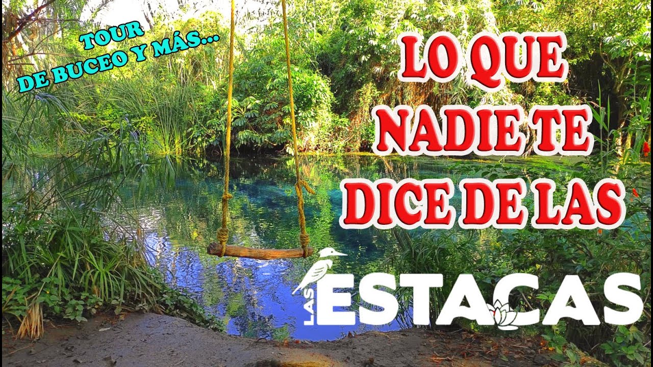 EL MEJOR VIDEO DE LAS ESTACAS / PARQUE XCARET A 2 HRS DE LA CDMX 🌴 🥽