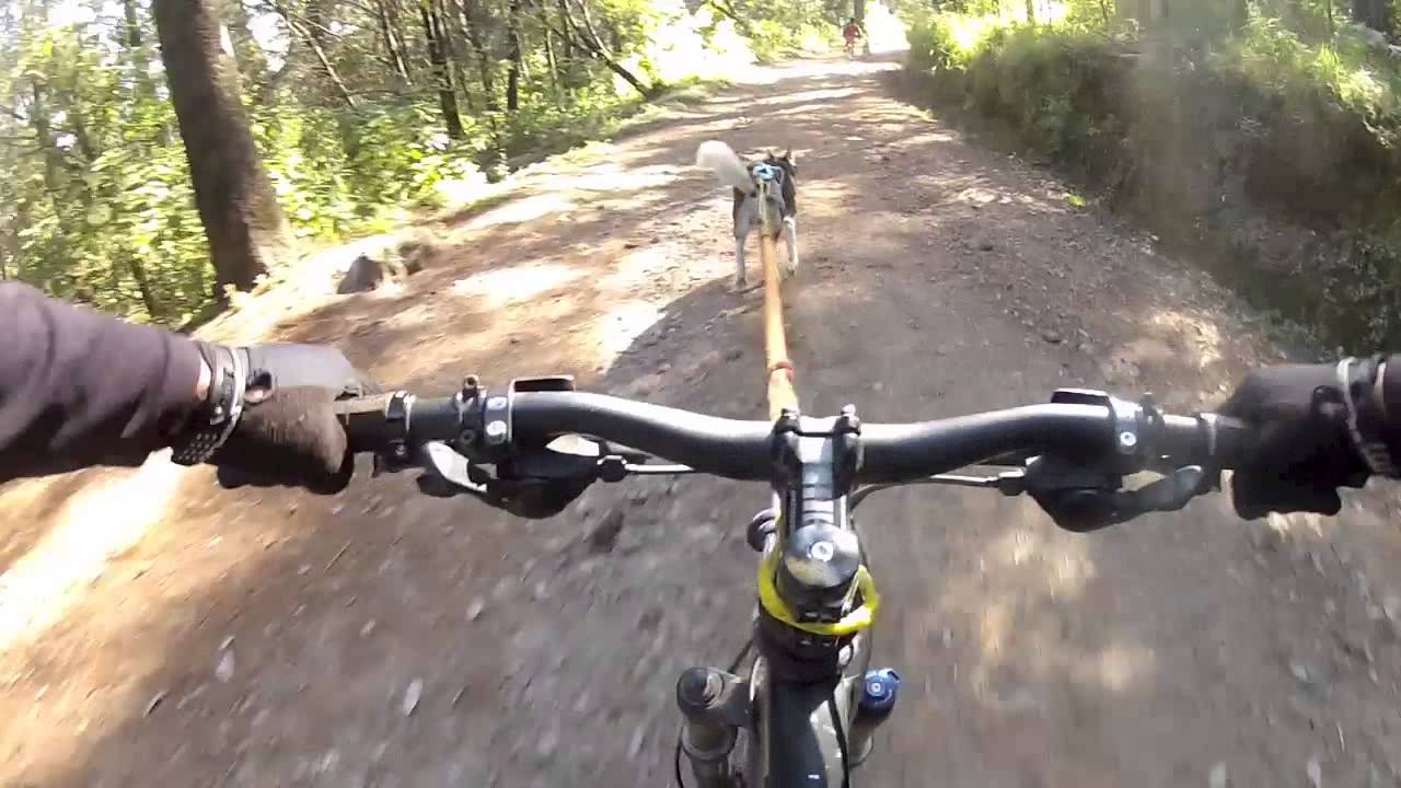 Bikejoring Ajusco 09/12/ 2012