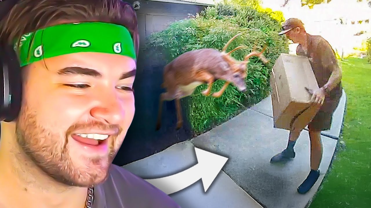 BEST DELIVERY DRIVER VIDEOS OF THE DECADE!! | KingWoolz Reacts