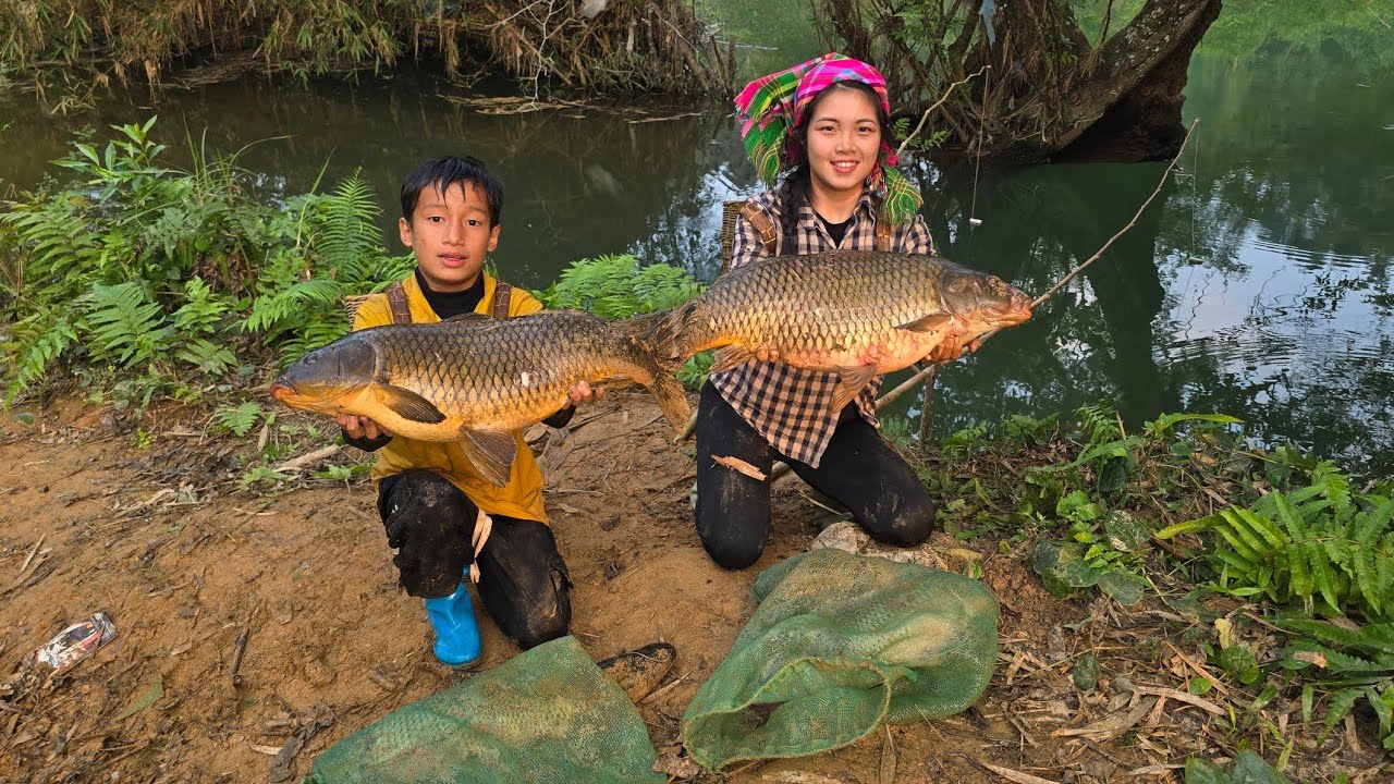 Highland boy fishing skills, Method of catching carp using earthworms.harvesting large carp to sell