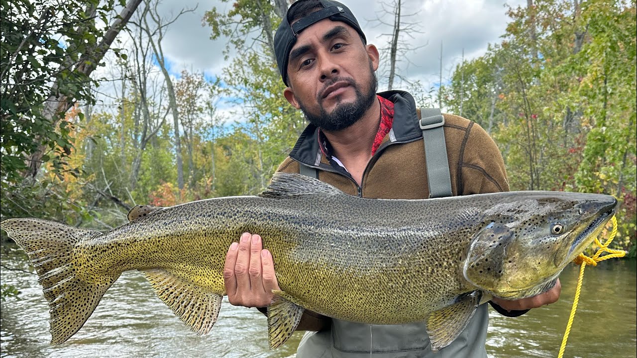 Increíble Pelea Con Estos Monstruos De Rio , Pesca De Salmón 2023