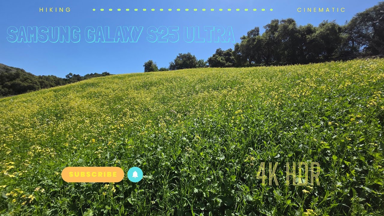 Samsung Galaxy S25 Ultra - Cinematic Video - 4K HDR - Hiking - Spring Flowers