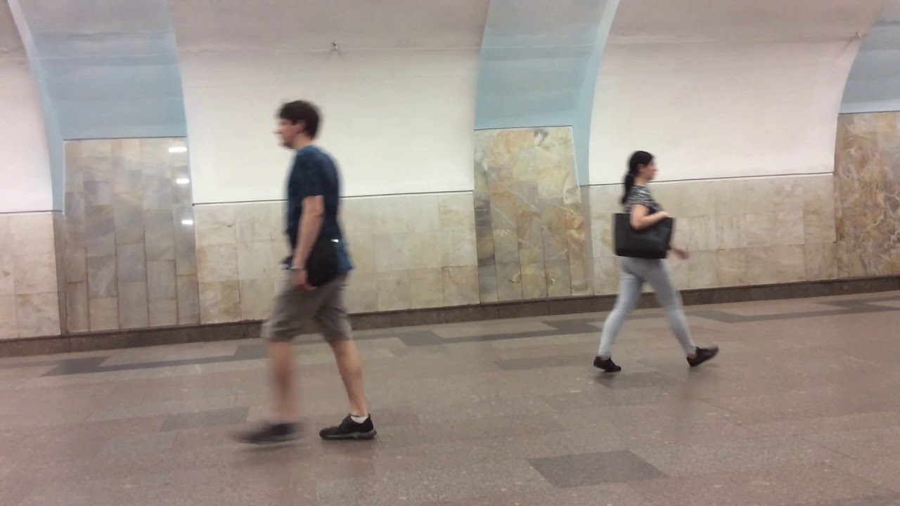 Вся Серпуховско тимиряязевская линия от Бульвара Дмитрия донского до Алтуфьево