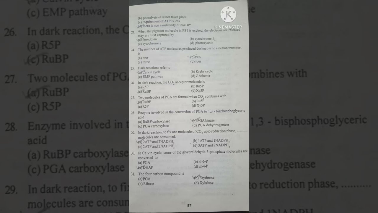 Neetexam material/Part 2 biology _Botany-plant Physiology Questions & Answers