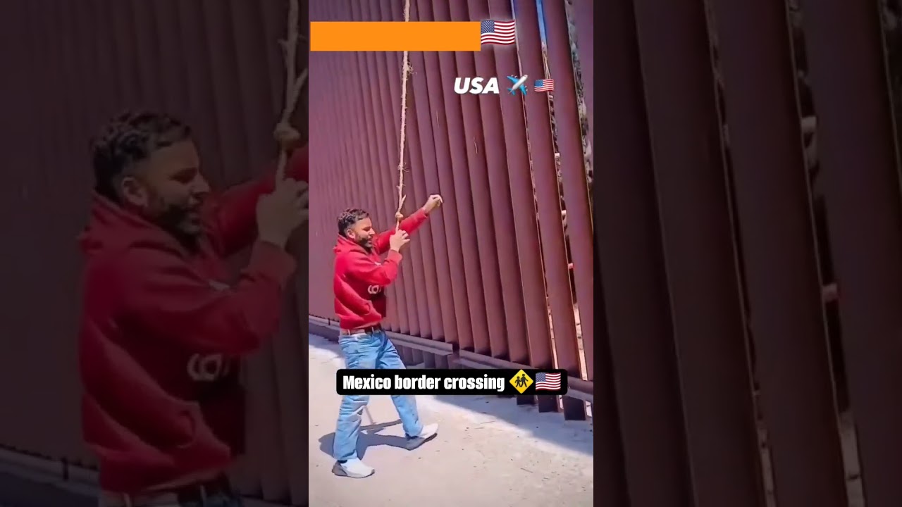 USA donki latest video 🇺🇲🇺🇲 #usa #america #donkey Mexico border