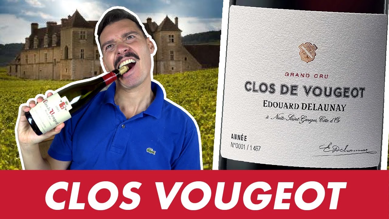 CLOS-VOUGEOT, l'iconique Grand Cru de Bourgogne que personne ne connaît (ms que tt le monde connaît)