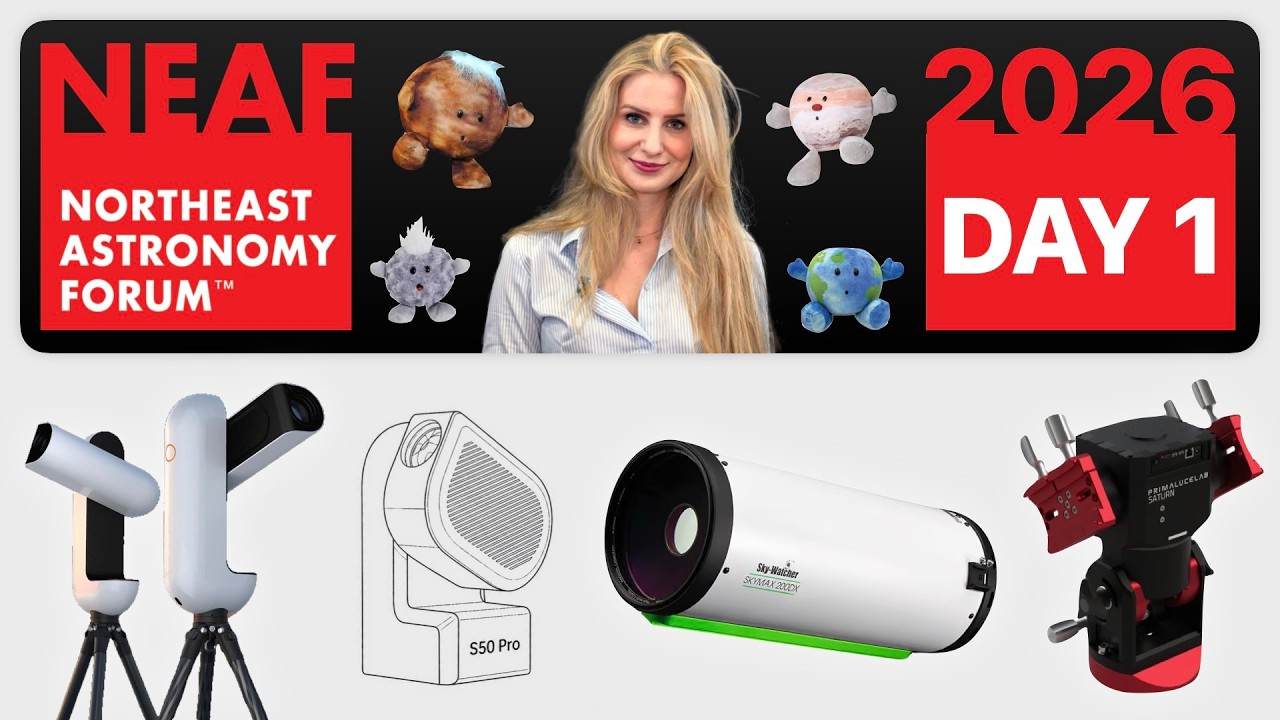 The Best of NEAF 2026 - Day 1