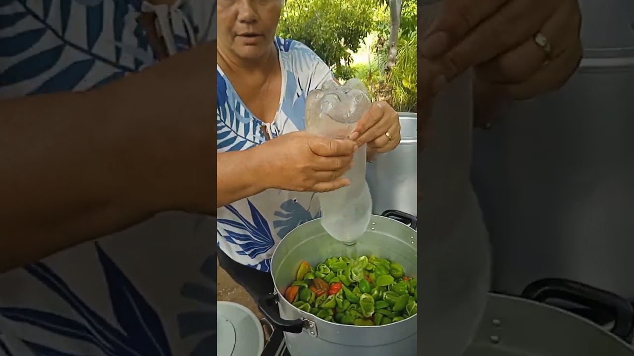 como fazer conserva de pimenta 🫑 Cambuci