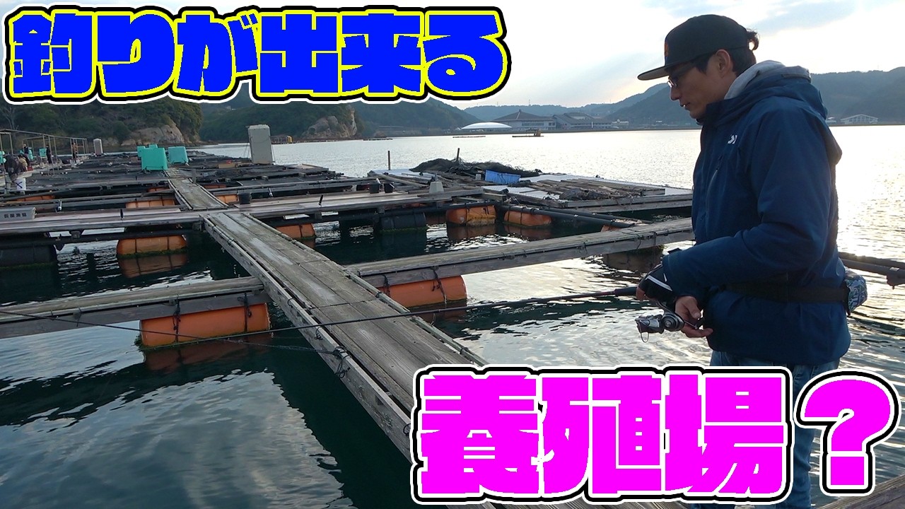 養殖場の隣で釣りをしたら大爆釣だった！！