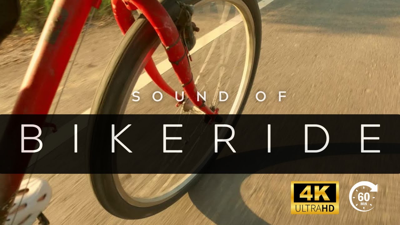 Sound of Bike Ride | Cycling Ambience with Wind & Road Sounds for Relaxation & Focus