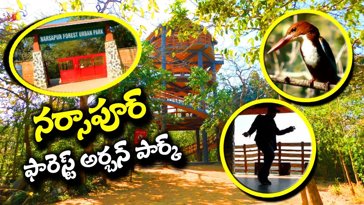 Narsapur Forest Urban Park - Medak District - ComeTube Exclusive video