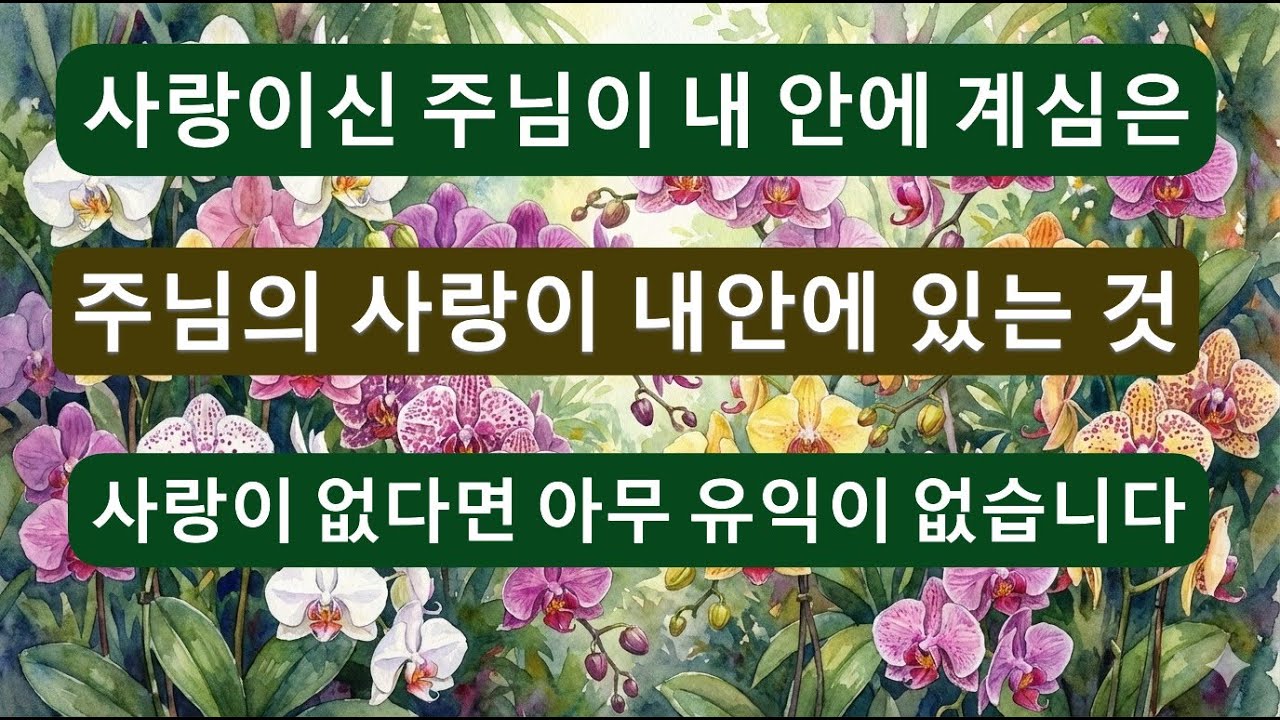 조용한 새벽빛 속에