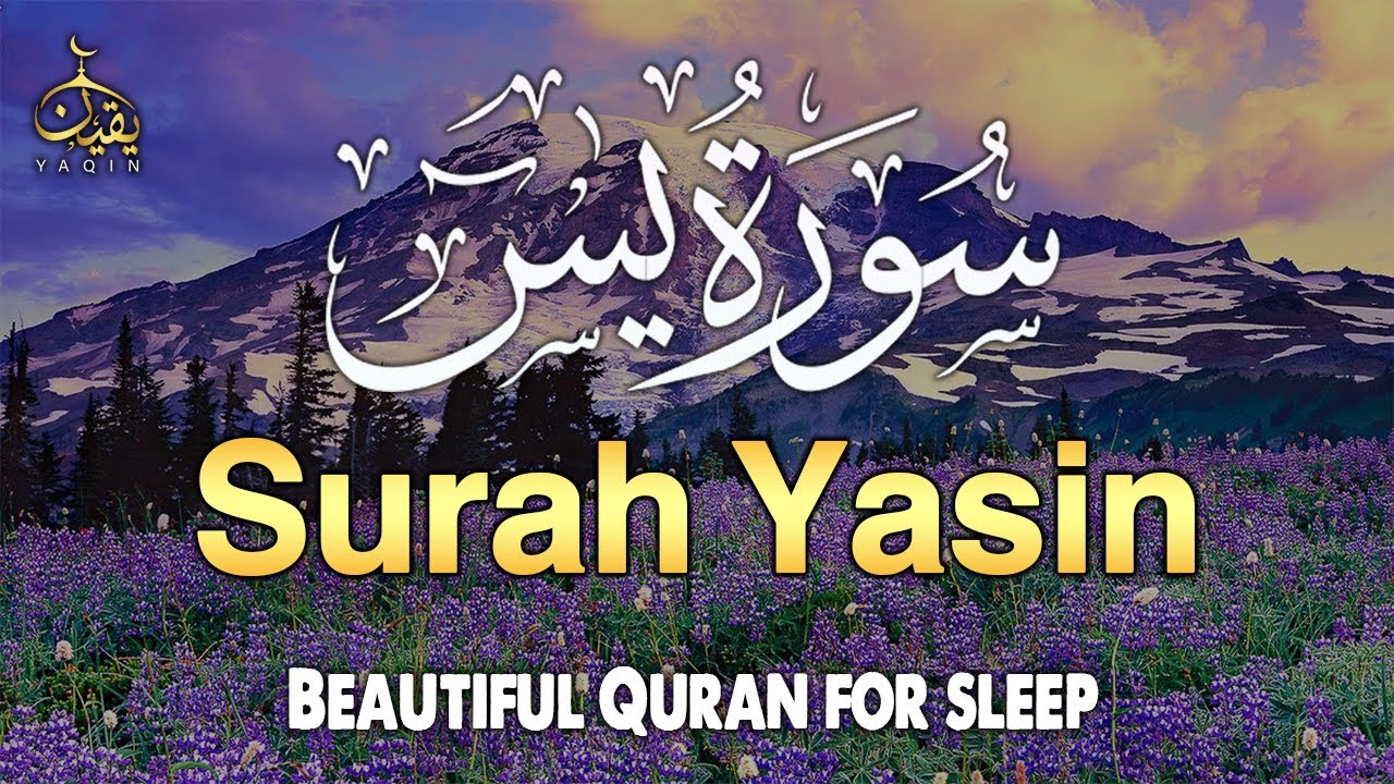 Beautiful Quran Recitation For Relax Your Mind | Surah Yaseen, Surah Rahman | Reciter Alaa Aqel