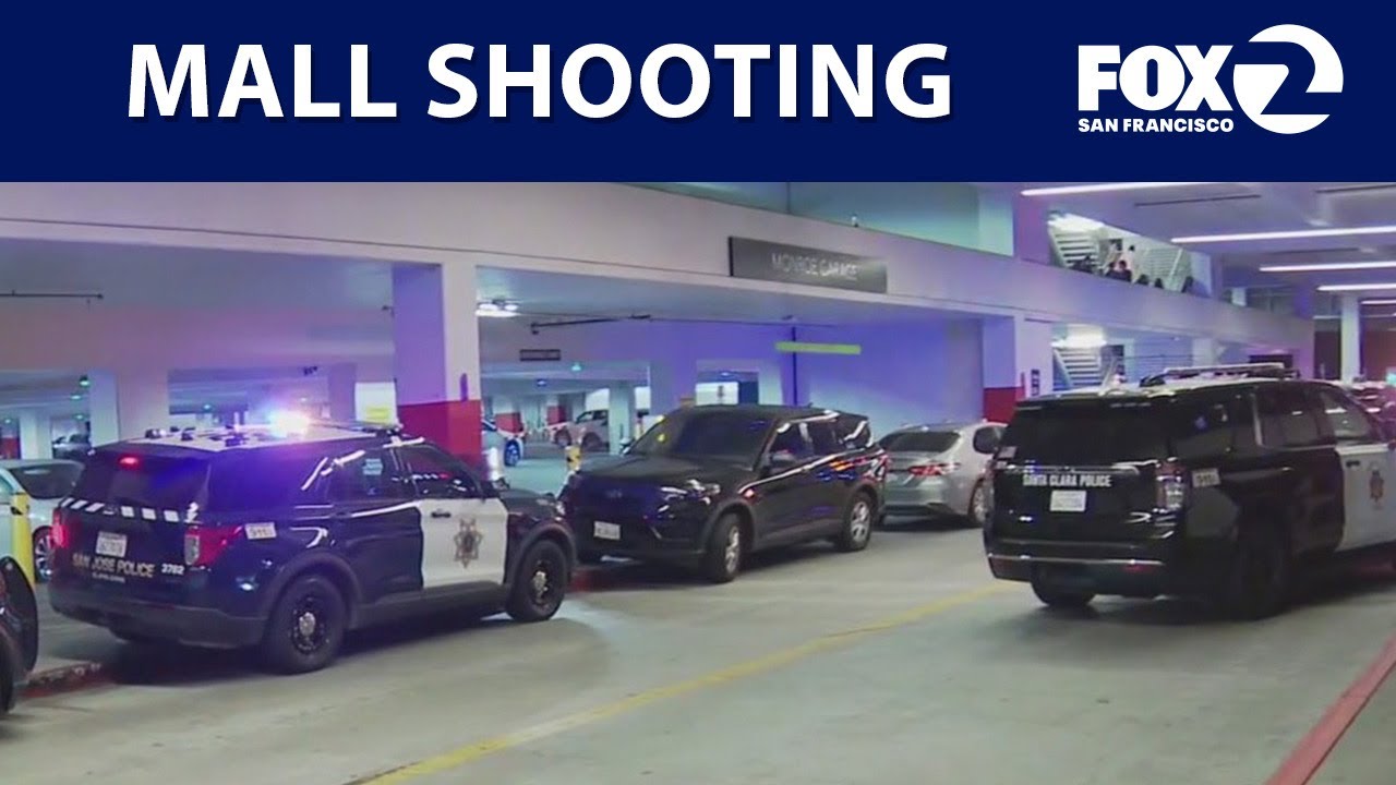2 shot as chaos erupts inside Valley Fair Mall on Black Friday | KTVU