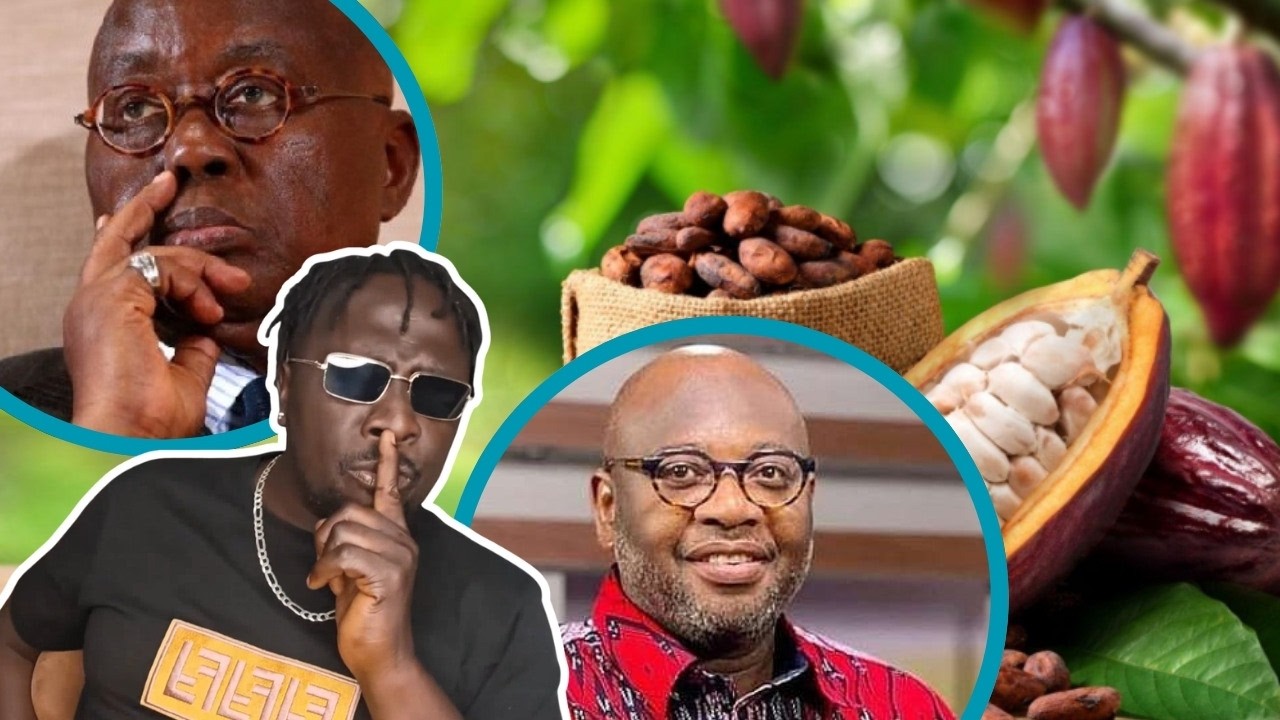 NPP IS THE CAUSE OF THE COCOBOD PROBLEMS...