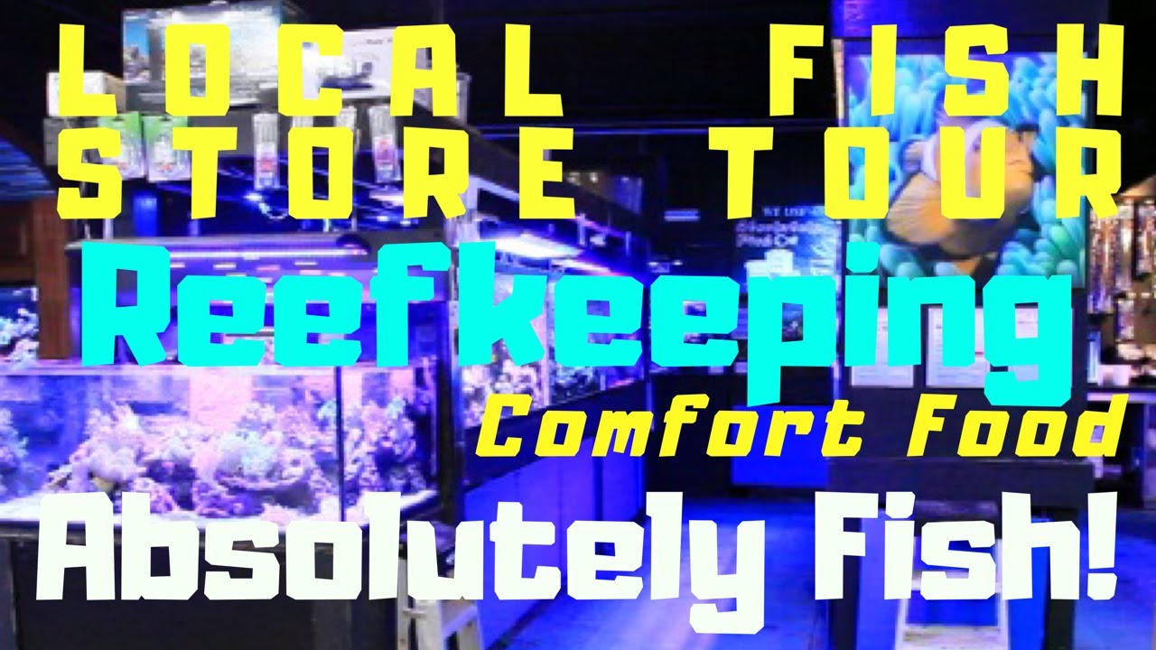 ABSOLUTELY FISH - LFS TOUR (REEFKEEPING COMFORT FOOD)