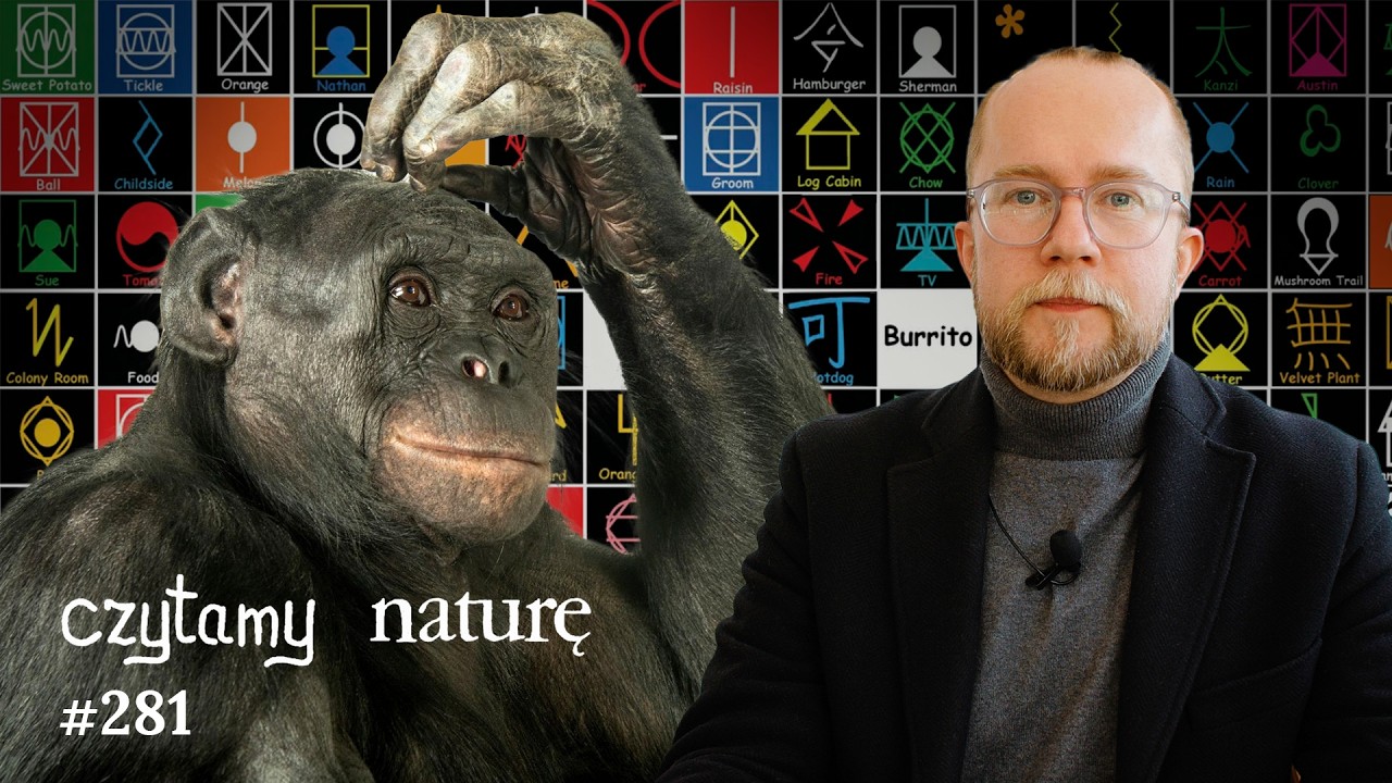 Lekarz AI w Rwandzie - Wyciskamy morski śnieg - Bonobo na niby | Czytamy naturę #281