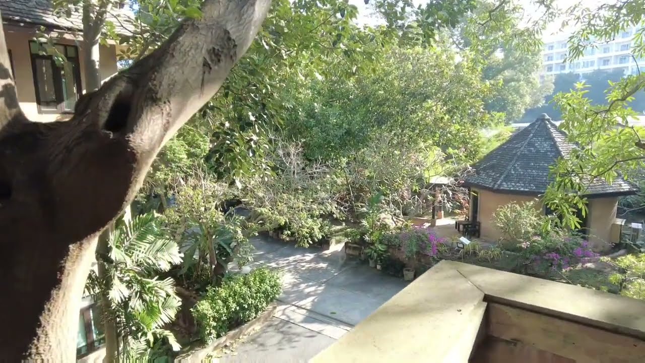 Я ВЕРНУСЬ! О КОМФОРТНОМ ПРОЖИВАНИИ В ОТЕЛЕ PLUMERIA RESORT 3* , ПАТТАЙЯ.