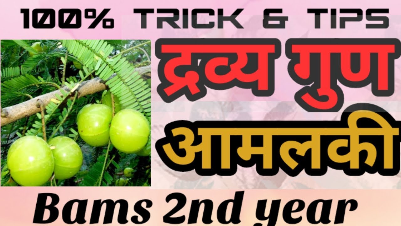 Amlaki (आमलकी) plant Dravye gun - BAMS