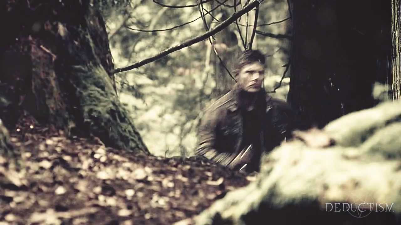 team free will | light 'em up