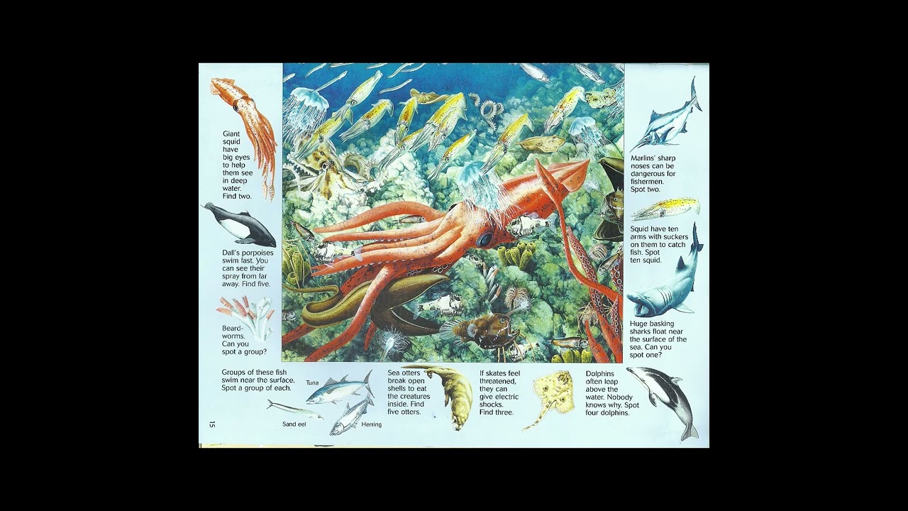 USBORNE THE GREAT ANIMAL SEARCH