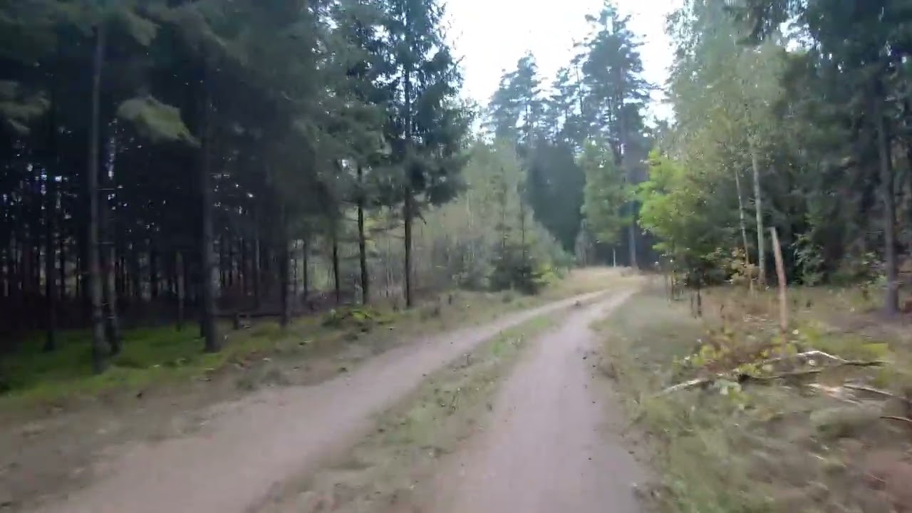 BISON MTB 2025 - 100 KM GRAVEL - PRAWIE JAK SZUTRY