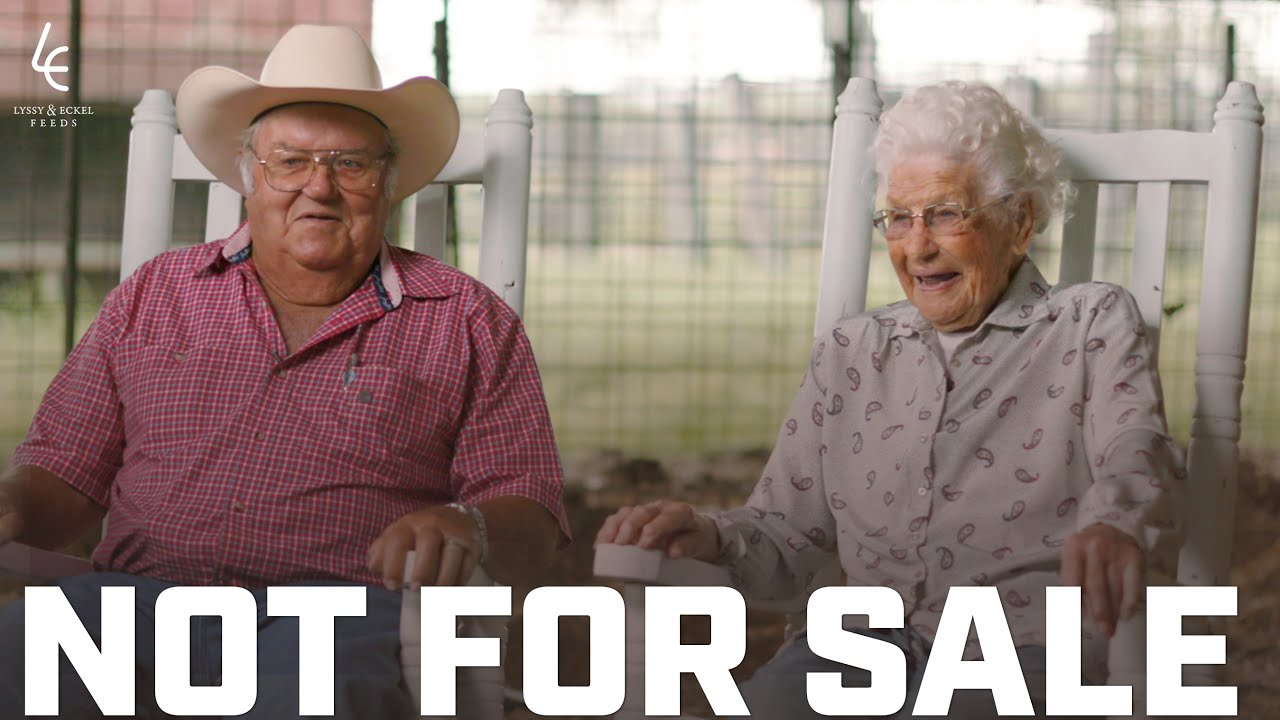 100 лет и всё ещё занимаемся скотоводством