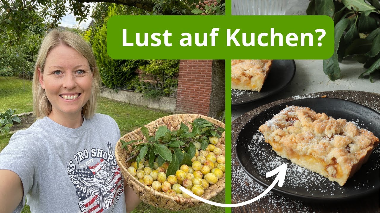 Ich ernte Mirabellen im Garten und backe eine fruchtige Tarte / Mirabellenkuchen mit Streuseln