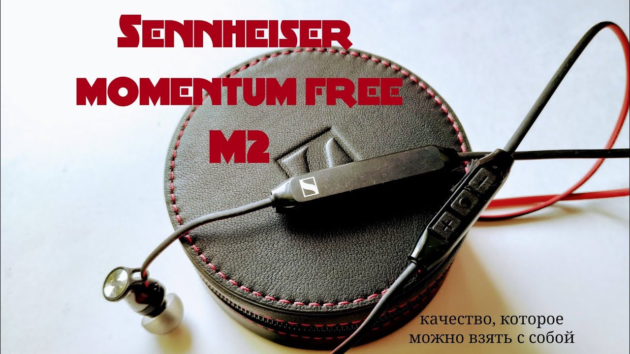Обзор Sennheiser Momentum Free (M2 IEBT SW)