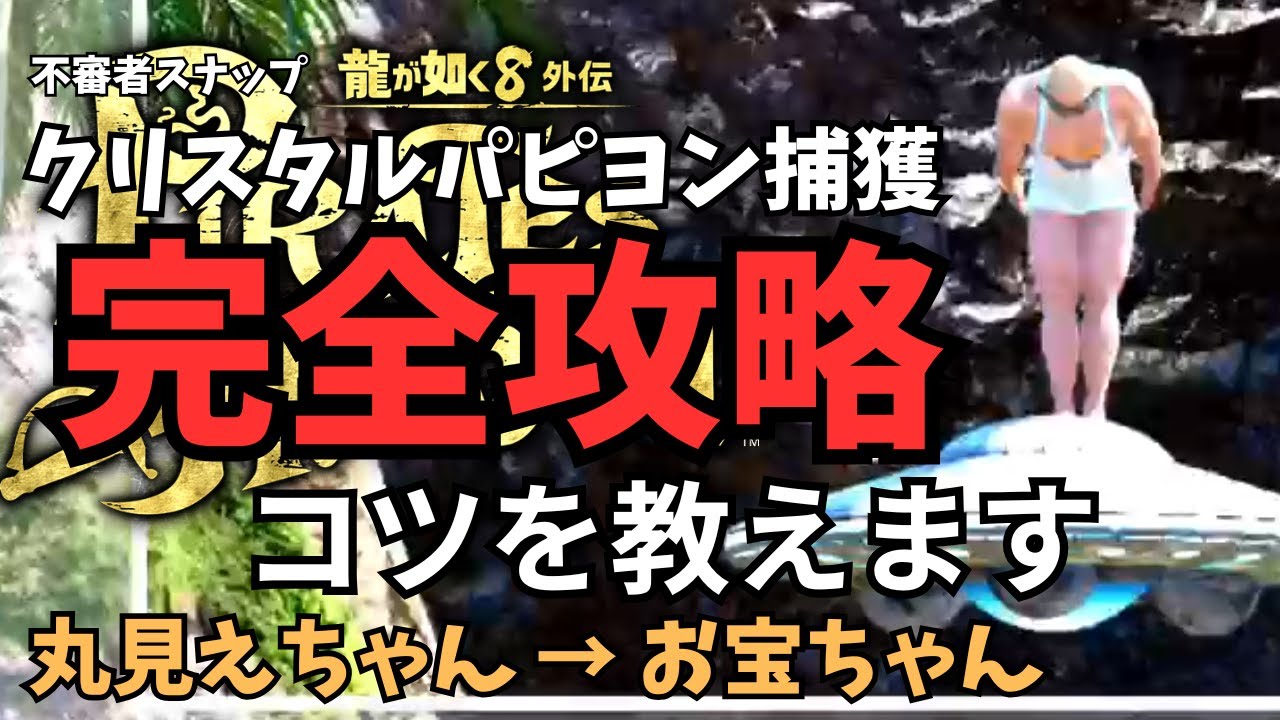【龍が如く８外伝】完全攻略シリーズ「不審者スナップ・クリスタルパピヨンの攻略・コツ」