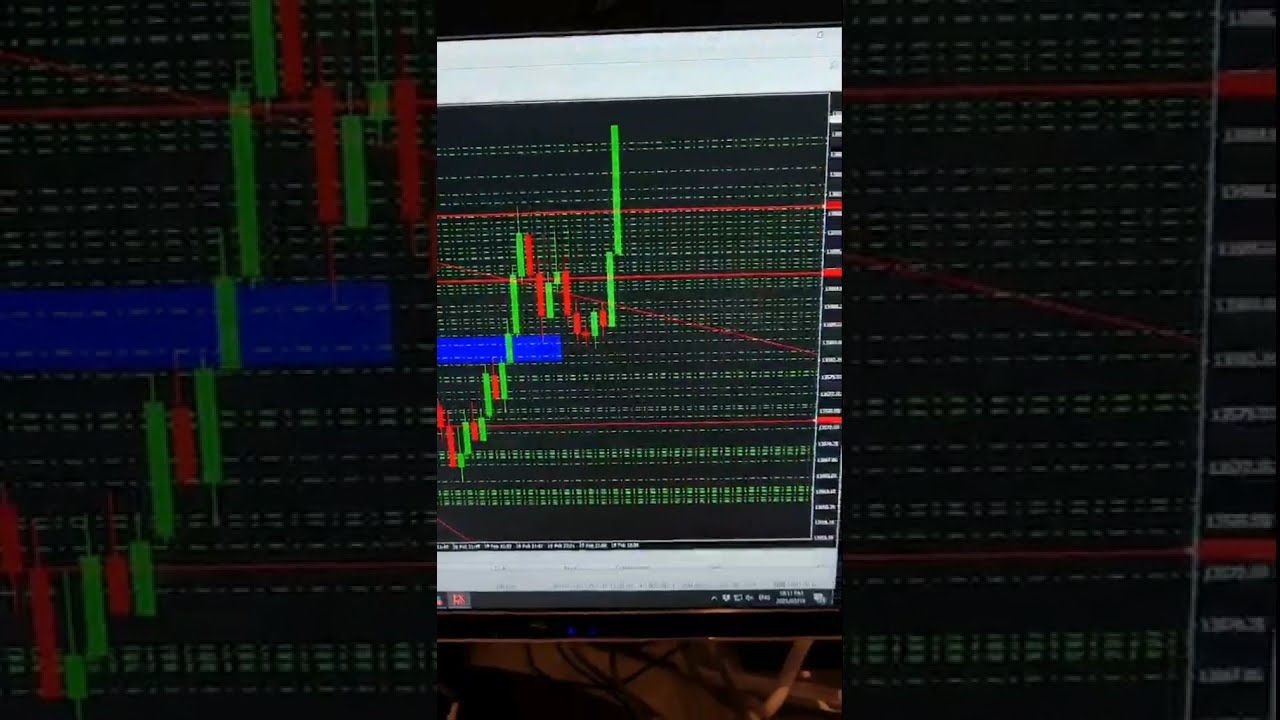 Ref Wayne: The King of NASDAQ Part 1